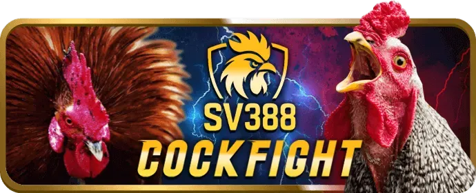 Sảnh đá gà SV388