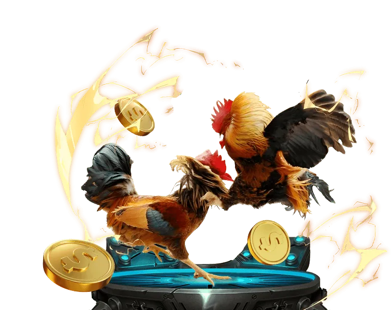 Các loại cược đá gà tại 8day game